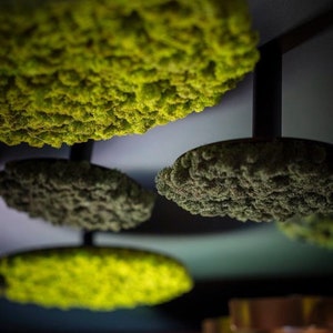 May include: Four round green moss covered ceiling lights hanging from a black metal frame.