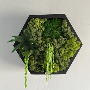 Hexagon moss wall art Wooden frame  hexagon with green moss Honeycomb moss wall art Framed moss wall art