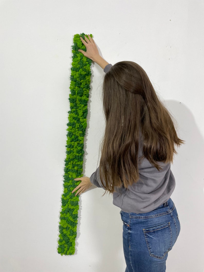 Mirror Moss Frame Green Moss Panels Moss Wall Art Stabilized Moss Strip