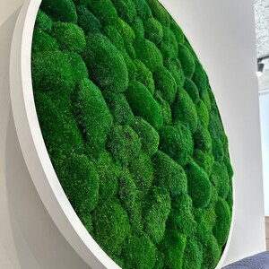 Circle Extra large natural ball moss wall art Wall moss decor Moss wall art decor with led Aesthetic room decor Preserved Moss wall art