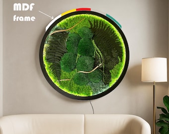 Round Moss Wall Art with LED Light – Preserved Moss Circle Wall Decor | Natural Biophilic Green Home Decoration | MR WOOD Studio