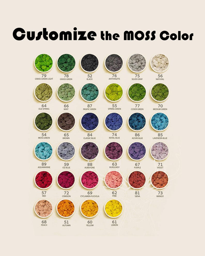 May include: A color chart titled "Customize the Moss Color" displays 30 moss colors in circular arrangements. Colors range from greens and blues to purples and yellows, each labeled with a number and a descriptive name. The text is in black.