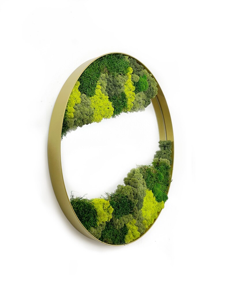 Live Moss Mirror Wall Art Oversized Wall Mirror Art Moss Etsy