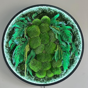 Extra large natural dried moss wall art Wall moss decor Moss wall art decor with led Aesthetic room decor Preserved Moss wall art