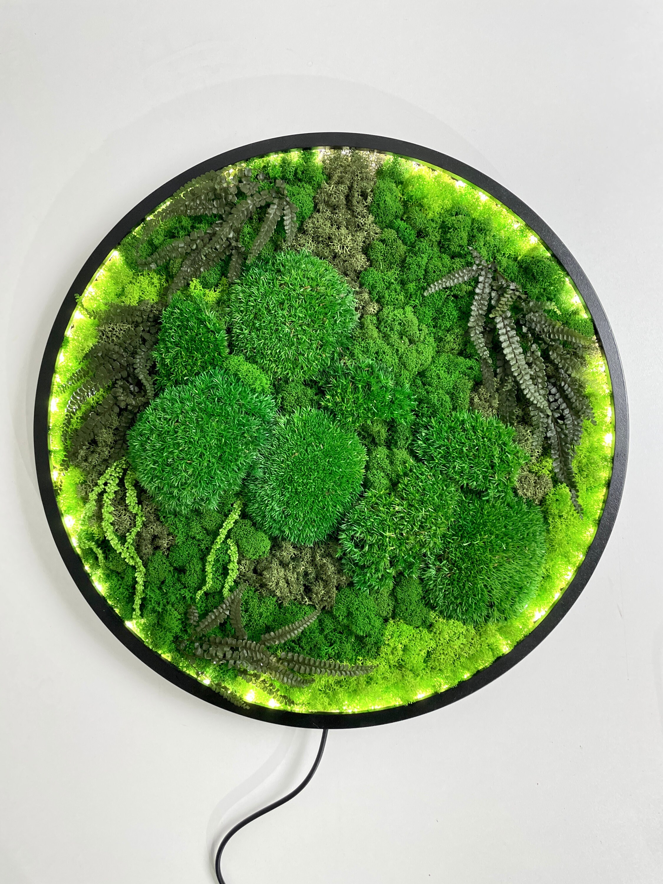 Extra Large Natural Dried Moss Wall Art Wall Moss Decor Moss Etsy UK