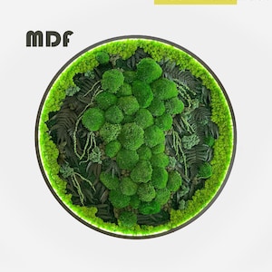 Housewarming gift for new home Extra large natural dried moss wall art  with led Aesthetic room decor Preserved Moss wall art