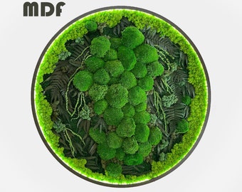 Housewarming gift for new home Extra large natural dried moss wall art  with led Aesthetic room decor Preserved Moss wall art