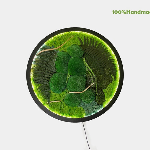 Extra Large Natural Dried Moss Wall Art Wall Moss Decor Moss Etsy