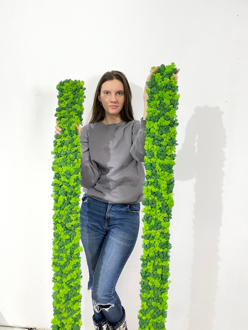 Mirror Moss Frame Green Moss Panels Moss Wall Art Stabilized Moss Strip