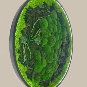 Round moss wall art Extra large LED Wall moss decor Moss wall art decor with led Aesthetic room decor Preserved Moss wall art