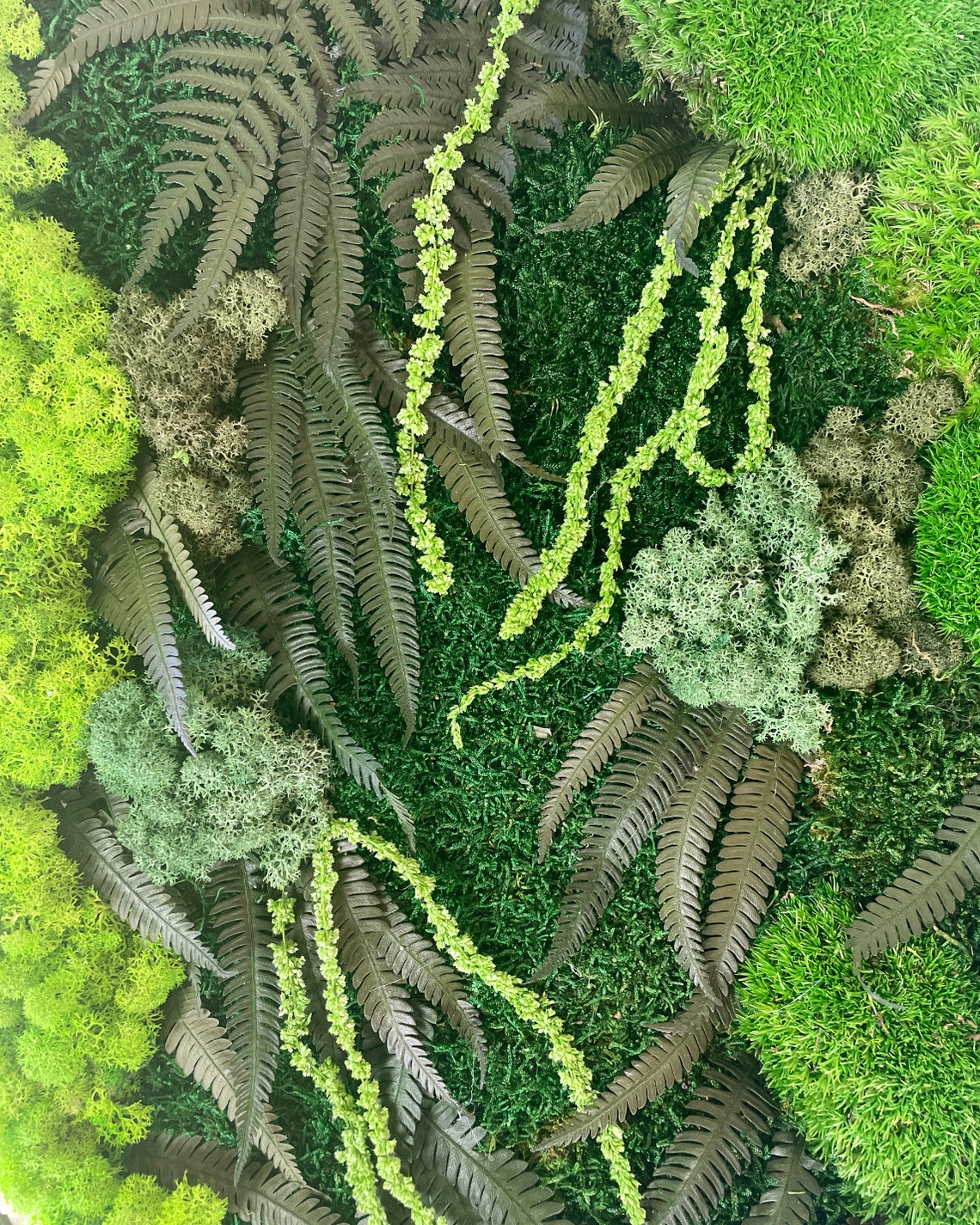 Extra Large Natural Dried Moss Wall Art Wall Moss Decor Moss Wall Art