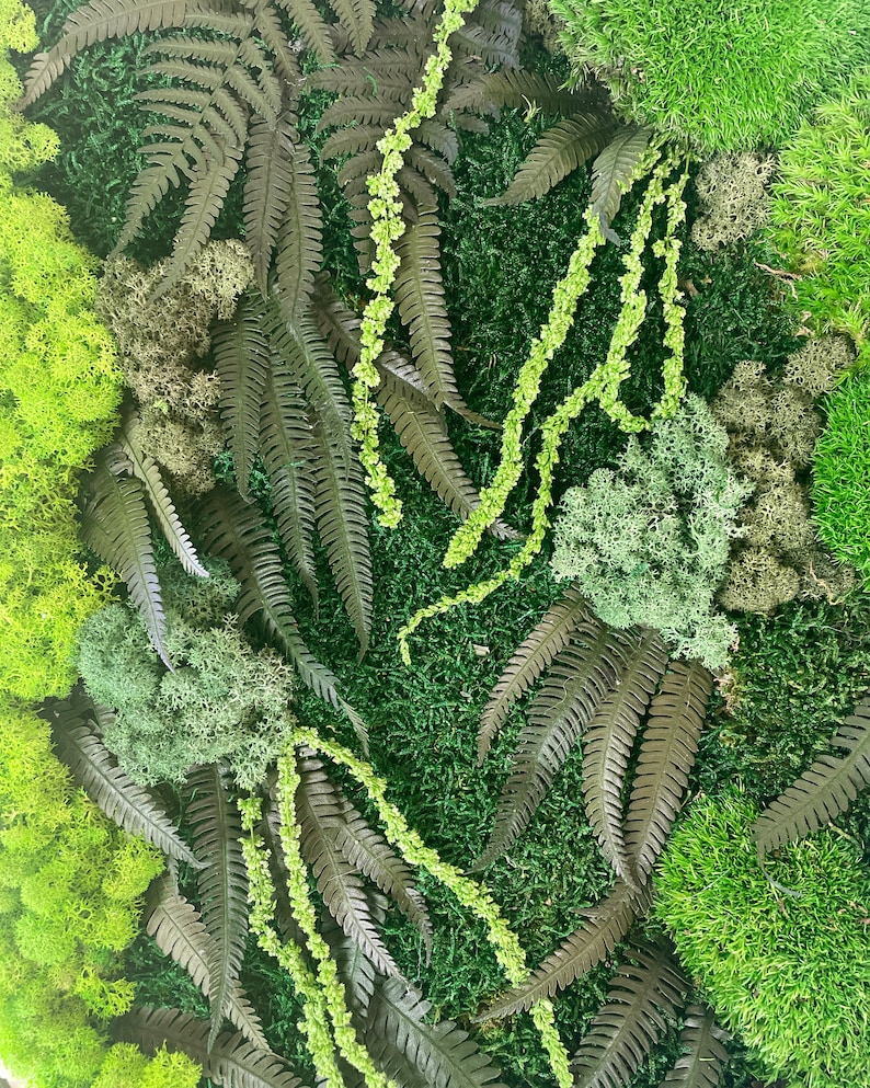 Extra Large Natural Dried Moss Wall Art Wall Moss Decor Moss Wall Art
