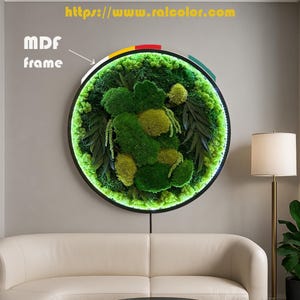 Large Round Moss Wall Art, 3D Plant Frame - Hanging Greenery, Living Fern Decor | Bespoke Preserved Moss Circle for Home And Office