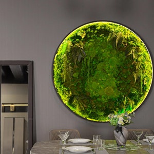 Extra grote natuurlijke gedroogd mos muurkunst muur mos decor Mos muur kunst decor met led Esthetisch kamerdecor bewaarde mos kunst aan de muur
