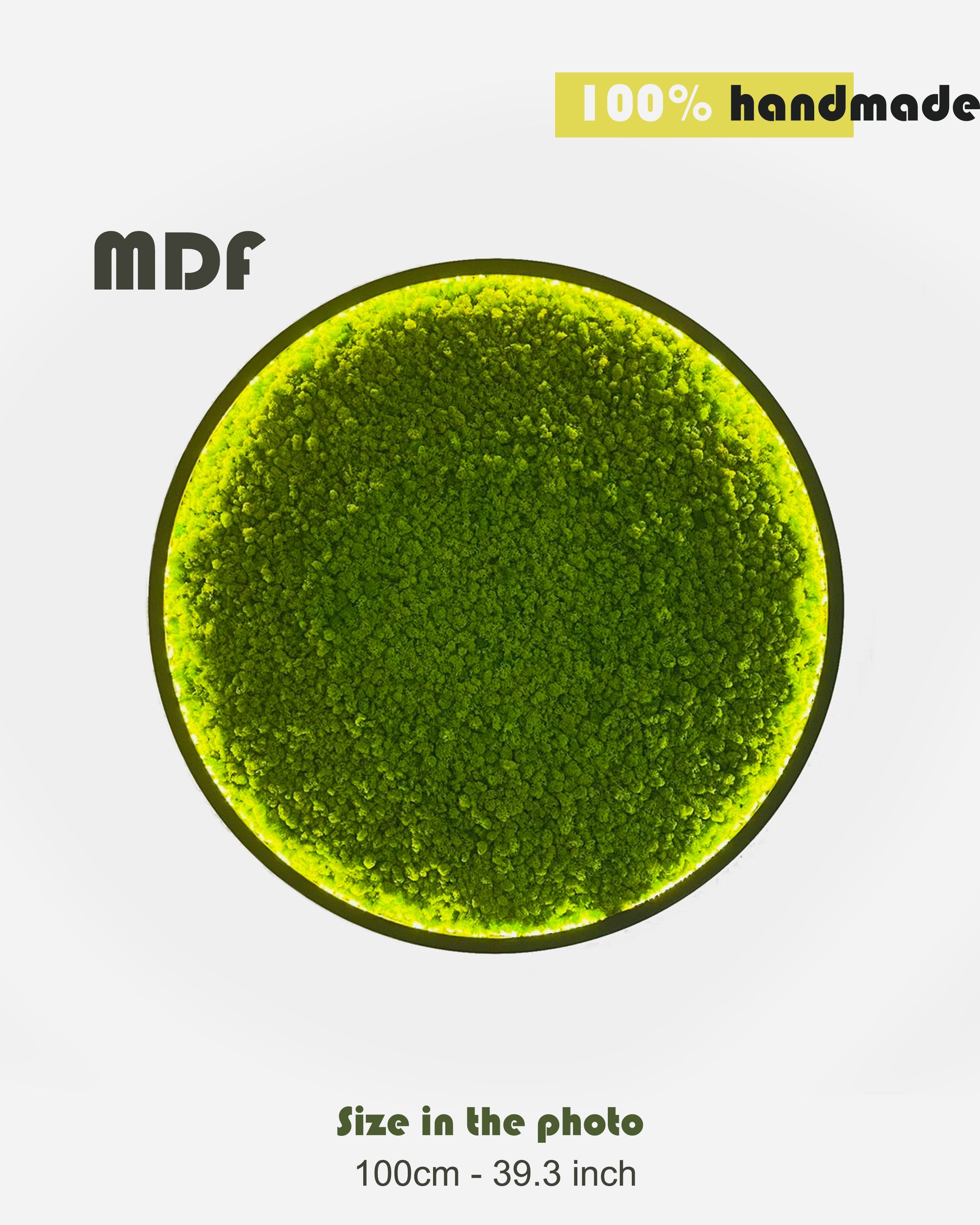 Circle Extra Large Natural Dried Moss Wall Art, Wall Moss Decor, Moss