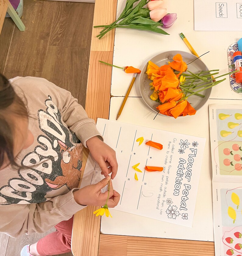 May include: A child is learning about flower petal addition. The worksheet instructs the child to collect flower petals and use them to create math equations. The child is holding a yellow flower petal and there are orange flower petals on the worksheet.
