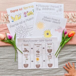 May include: A set of printable educational worksheets for kids about the signs of spring, parts of a plant, flower petal addition, what a flower needs, and the sunflower life cycle. The worksheets feature colorful illustrations and simple instructions.