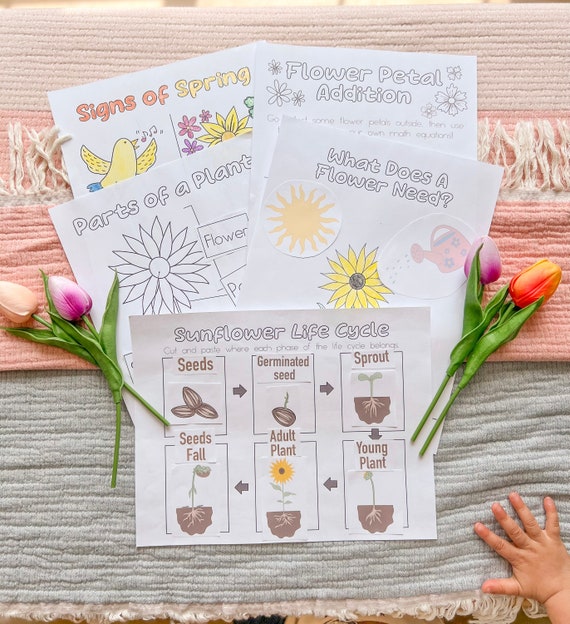 Spring/Easter Worksheet Bundle Printable ALL AGES
