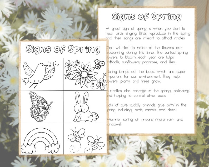 May include: Black and white illustration of signs of spring. The illustration includes a bird singing, a butterfly, a rabbit, a rainbow, and bees. The text "Signs of Spring" is at the top of the image.