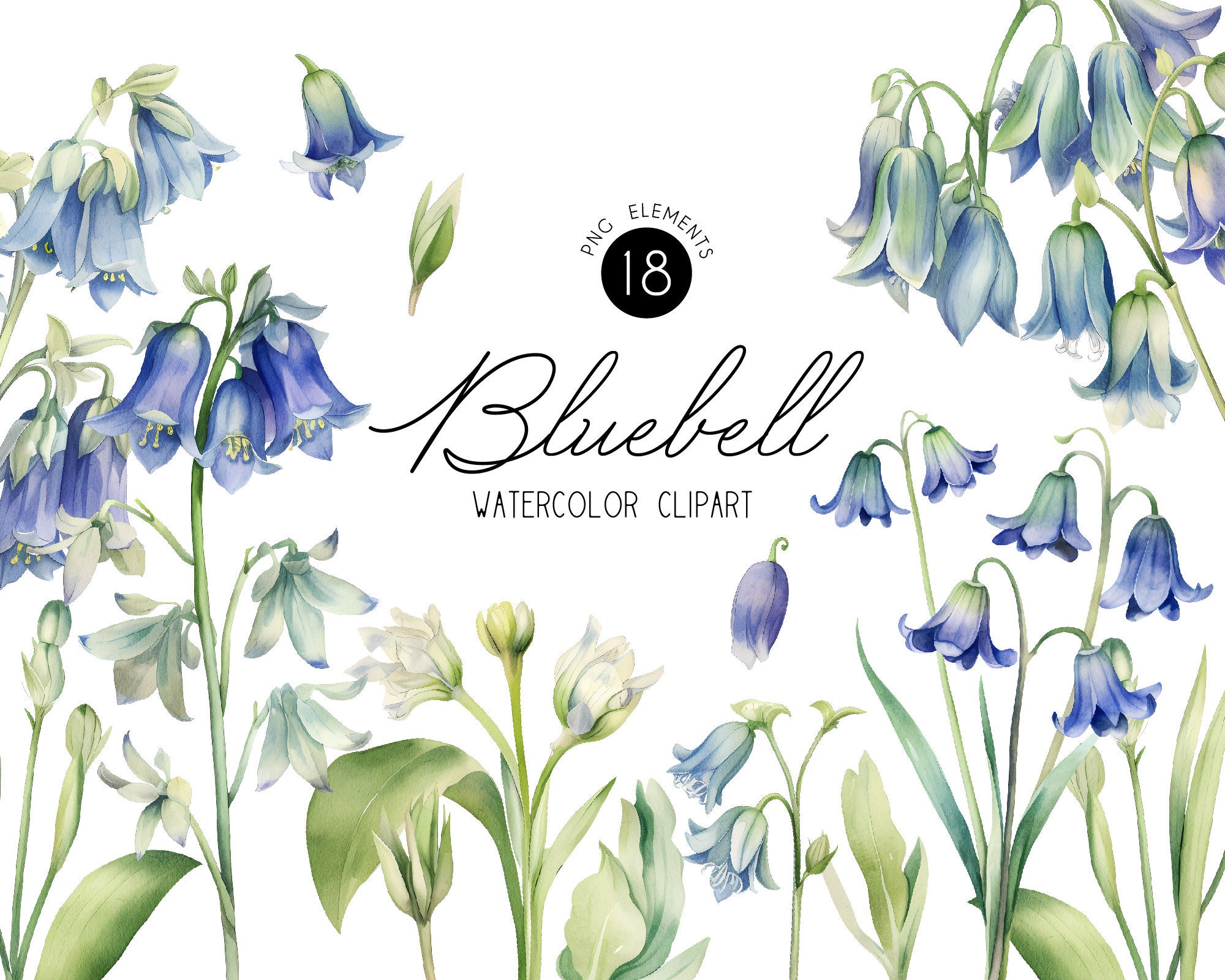 Watercolor Floral Clipart Bluebell Blue Spring Floral Wildflowers Blue  Flowers Clip Art Digital Clipart PNG 