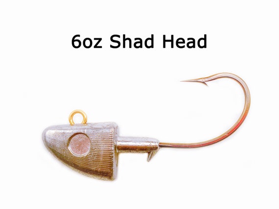 6oz Shad Head Swimbait Jighead W/ 10/0 Heavy Duty Hooks - Etsy 6oz Shad Head Swimbait Jighead W/ 10/0 Heavy Duty Hooks - Etsy