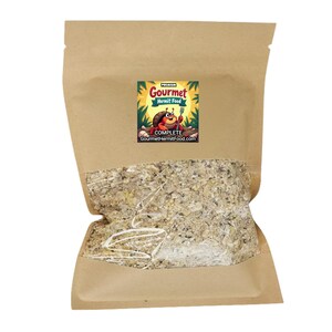 Hermit Crab Food Complete with  Mealworms, Oyster Shells, Foraged. Nutritious and Delicious