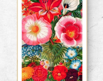 Grafika w stylu vintage przedstawiająca ilustrację kwiatową, wydruk artystyczny, ręcznie wykonany, do dekoracji domu i na ścianę.