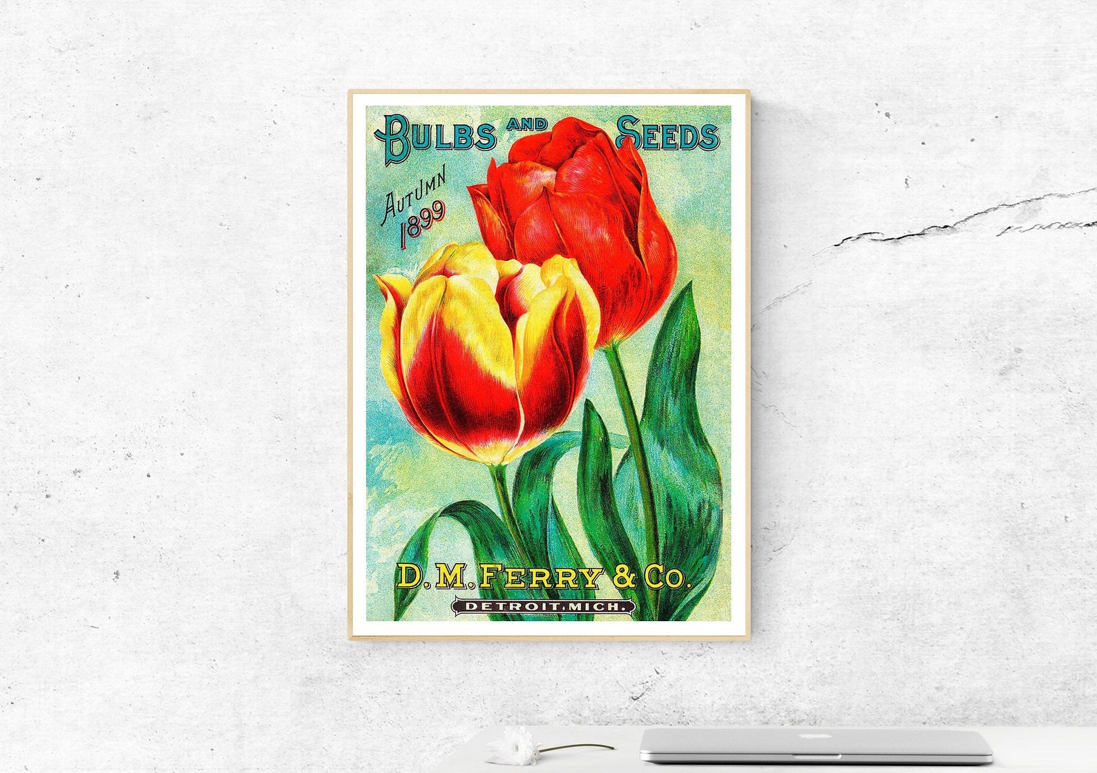 Beautiful Vintage Tulips Seed Packet Graphics High Quality Etsy