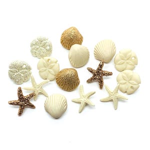 Boutons coquillage, bouton thème océan, bouton étoile de mer, bouton dollar des sables, cadeau pour elle, cadeau pour égout, liste de 15 boutons