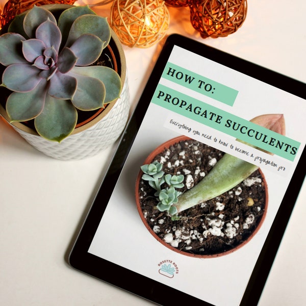 How To Propagate Succulents Digital E-Book | Succulent propagation guide | Step by step instruction manual | Grow your own succulent plants