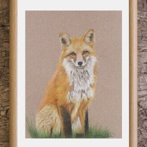 Red Fox Art Print, Fox Drawing Fine Art Print, Woodland Fox Art