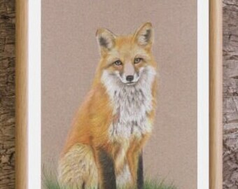 Red Fox Art Print, Fox Drawing Fine Art Print, Woodland Fox Art