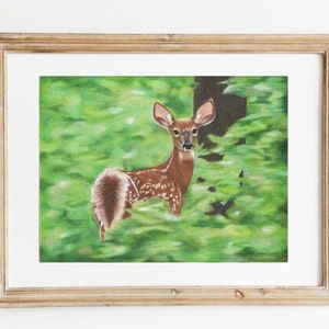 Whitetail Fawn Art Print, Fawn Drawing Fine Art Print, Woodland Fawn Art