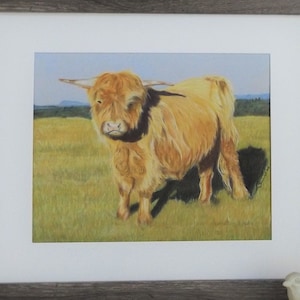 Scotch Highland Cow Art Print, Shaggy Cow Drawing Fine Art Print, Highland Cattle Print