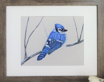 Blue Jay Bird  Art Print, Blue Jay Drawing Art Print