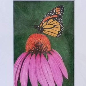 Monarch Butterfly on Cone Flower Art Print, Butterfly Drawing Fine Art Print