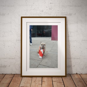 london street photography, Gooners, The Arsenal, The Emirates Stadium, Arteta, Frecnhie, fine art, giclee, print only, colour, play on words