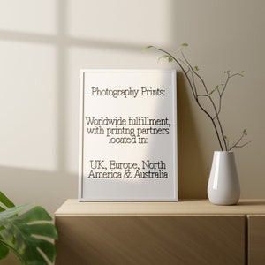 May include: A framed print with the text "Photography Prints: Worldwide fulfillment, with printing partners located in: UK, Europe, North America & Australia." A white vase with branches is to the right of the print.