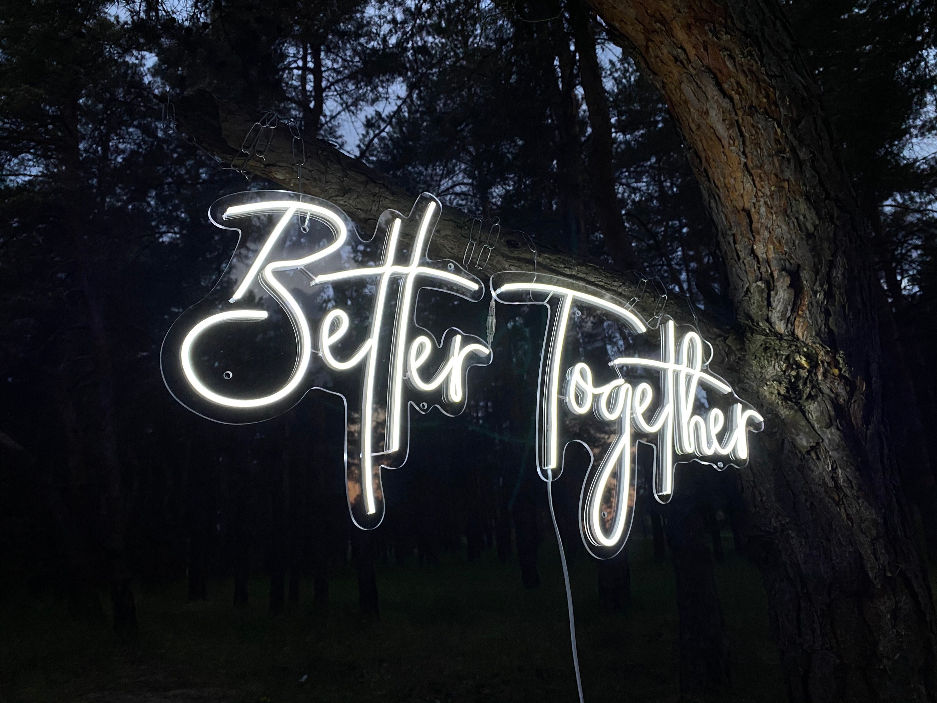 Amazon.co.jp: LED ネオンライトサイン Better Together ネオン