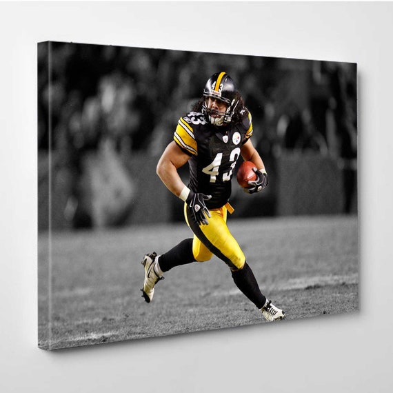 Troy Polamalu Pittsburgh Steelers Poster FREE US SHIPPING