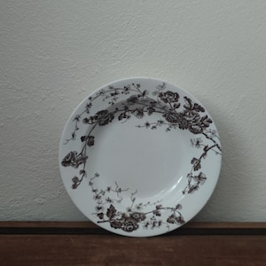 May include: A white ceramic plate featuring a dark brown floral pattern along the rim. The design consists of intricate illustrations of flowers, leaves, and thin winding branches that curve around the upper and lower edges of the plate.