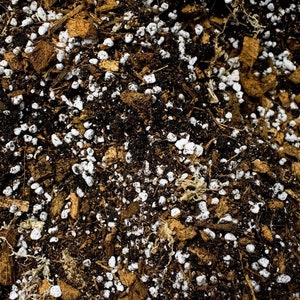 Op de afbeelding: Close-up van een mengsel van potgrond voor planten, met bruine aarde, witte steentjes en versnipperde kokosnootschalen.