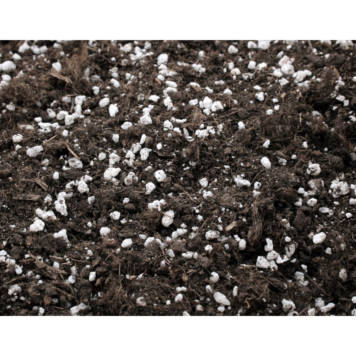 Terreau Universel Premium - Substrat enrichi en Mycorhize et Bacillus