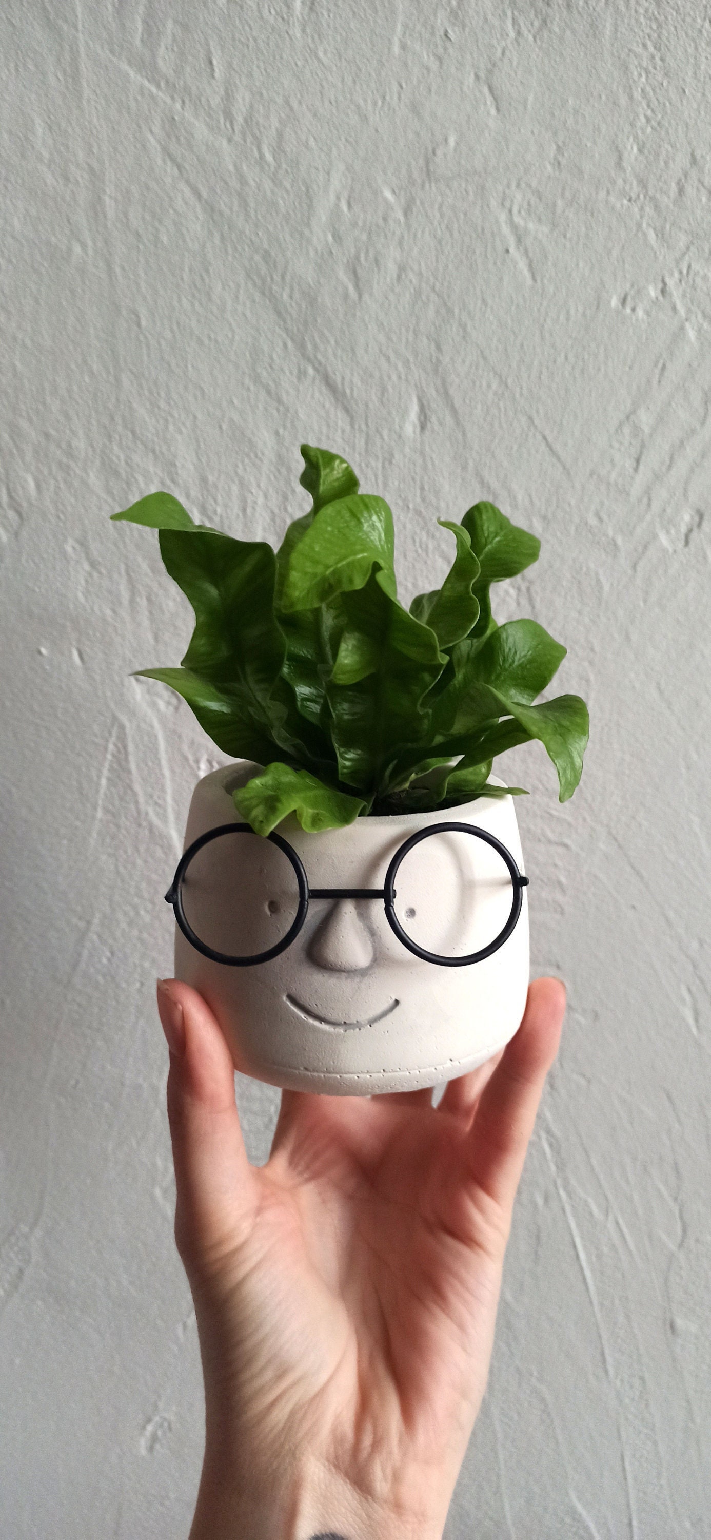 Cache-Pot Visage à Lunettes