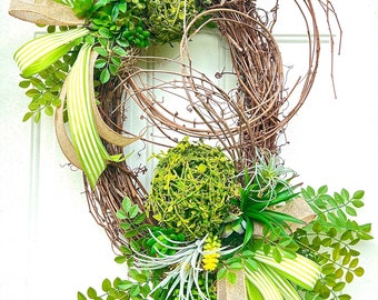 Succulent moss everyday grapevine door wreath
