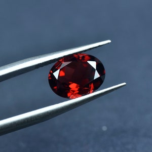 May include: A deep red oval gemstone held by tweezers against a blue background.