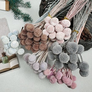 Billy Button Balls, Protean Preserved Flowers, 40 CM Tall, Stems/Pack, Dried Real Natural Craspedia Flowers, Preserved Flower,Nature Flowers