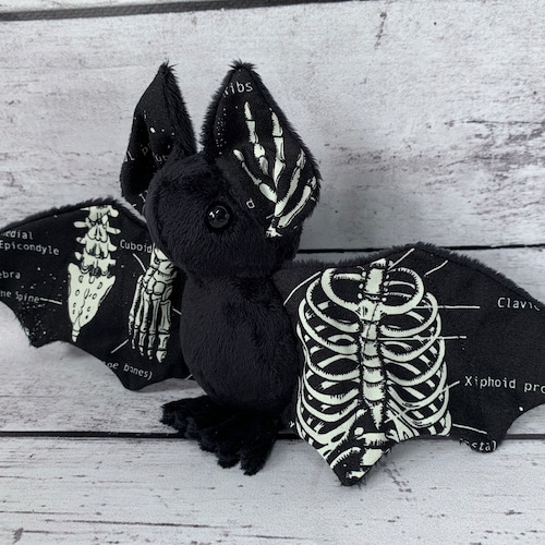 anatomy stuffed animals