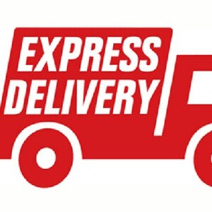 May include: A red truck with the words "EXPRESS DELIVERY" on the side. The truck is moving quickly, as indicated by the three red lines behind it.