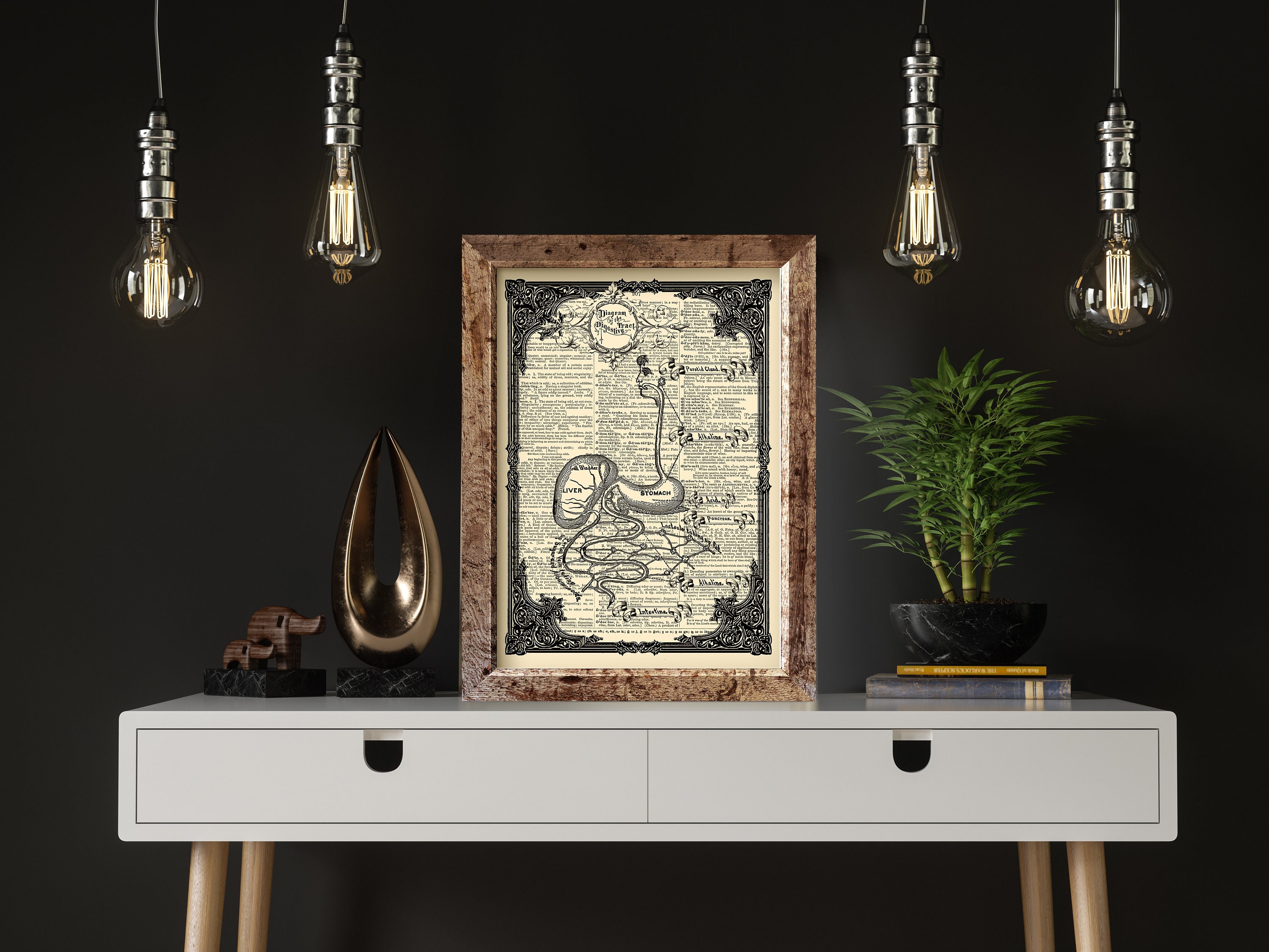 Digestive System Anatomy Art Print: Vintage Dictionary Page Gothic ...
